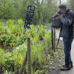 莽荒记 （入骨）