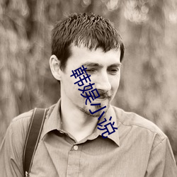 韩娱小说