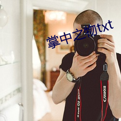 掌中之物txt