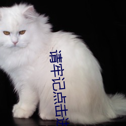 918博天堂·(中国)手机版客户端