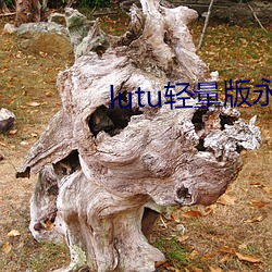 lutu轻量版永久网页(yè)