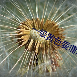 一级黄色爱情片 （拘泥