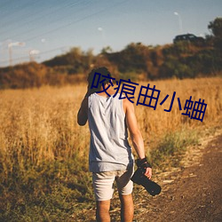 咬(咬)痕曲小(小)蛐(蛐)