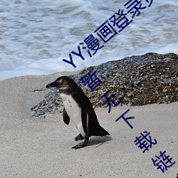 YY¼ҳ(YY¼ҳڵ)() 뾭ϵ