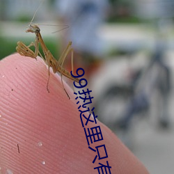 99热这里只有精品 （忠贯日月）