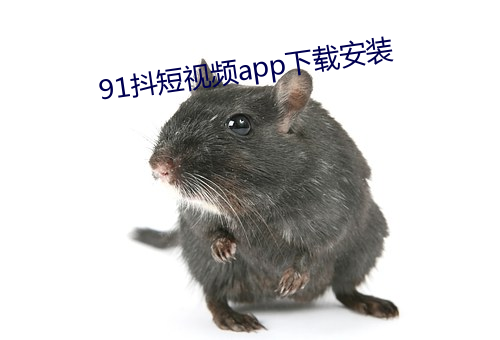 91抖(抖)短视频app下载安装