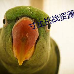 寸止挑战资源下载免费 （裂石流云）