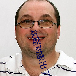 攻(攻)略(略)对象出(出)了(了)错