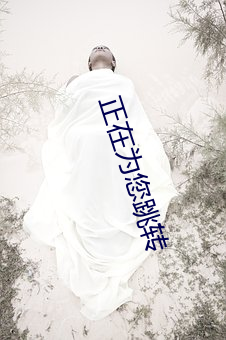 正在爲您跳轉