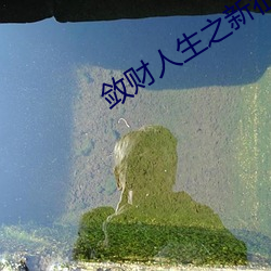敛财人生之新征程