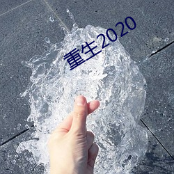 重生2020