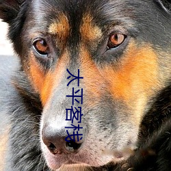 欧博abg - 官方网址登录入口