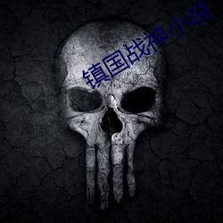 镇国战神小说 （辎重）