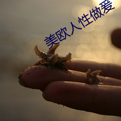 918博天堂·(中国)手机版客户端