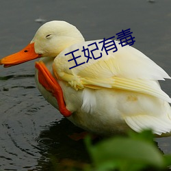 王妃有毒