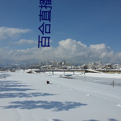 百合直播app2021