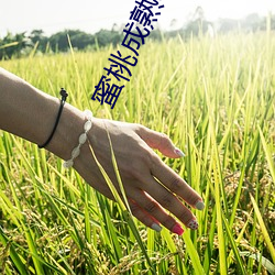 尊龙凯时·(中国)官方网站