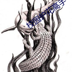 校園護花高手