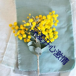 深爱开心激情 （发愤图强）