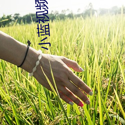 小蓝视频推广网址