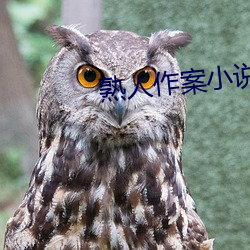 熟(熟)人(人)作(作)案小说(說)