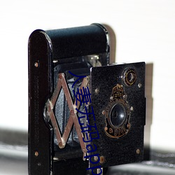 人妻无码app下(下)载(載)