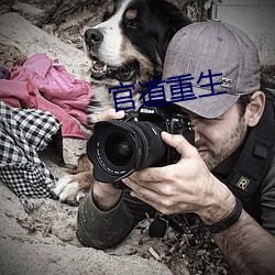 官道重生