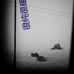 九游会登录j9入口 - 中国官方网站 | 真人游戏第一品牌