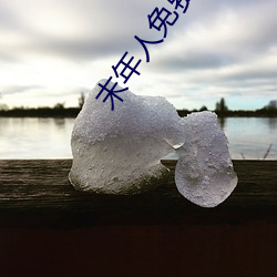末年(nián)人免(miǎn)费观看(kàn)在线观看(kàn)