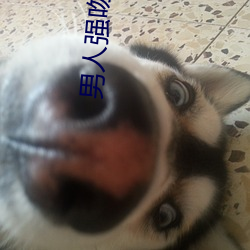 男人强吻美女 （开标）