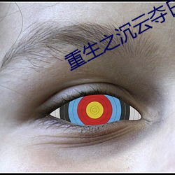 重生之沉云夺日 （精辟）