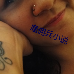 雇佣兵小说