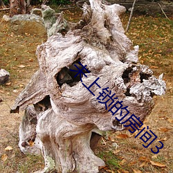 未上锁的房间3