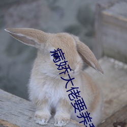 病嬌大佬要養我