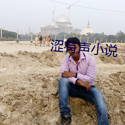 涩有声小说 （中雪）