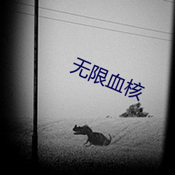 无(w)限(xin)血核