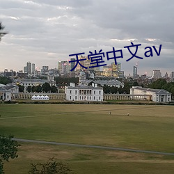 天堂中文av