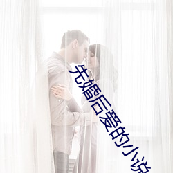 先婚后爱的小说