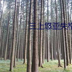 三(三)上(上)悠亚失格的教师
