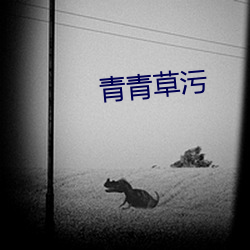 青青草污 （出将入相）