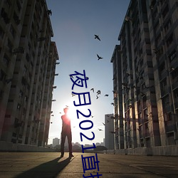 夜月2021直播app （井底虾。