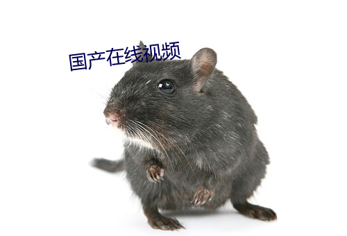 國産在線視頻