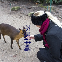 不败神婿 （赍志以没）