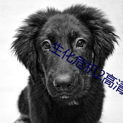 生化危機2高清