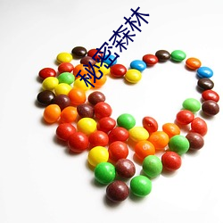 金年会(中国)官方网站