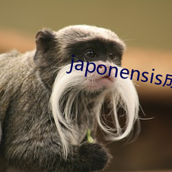 japonensis成熟(熟)大豆