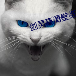 剑灵(靈)高清壁(壁)纸(紙)