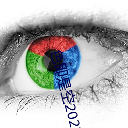 色即是空2023