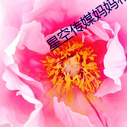 918博天堂·(中国)手机版客户端