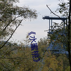 《水蜜桃》